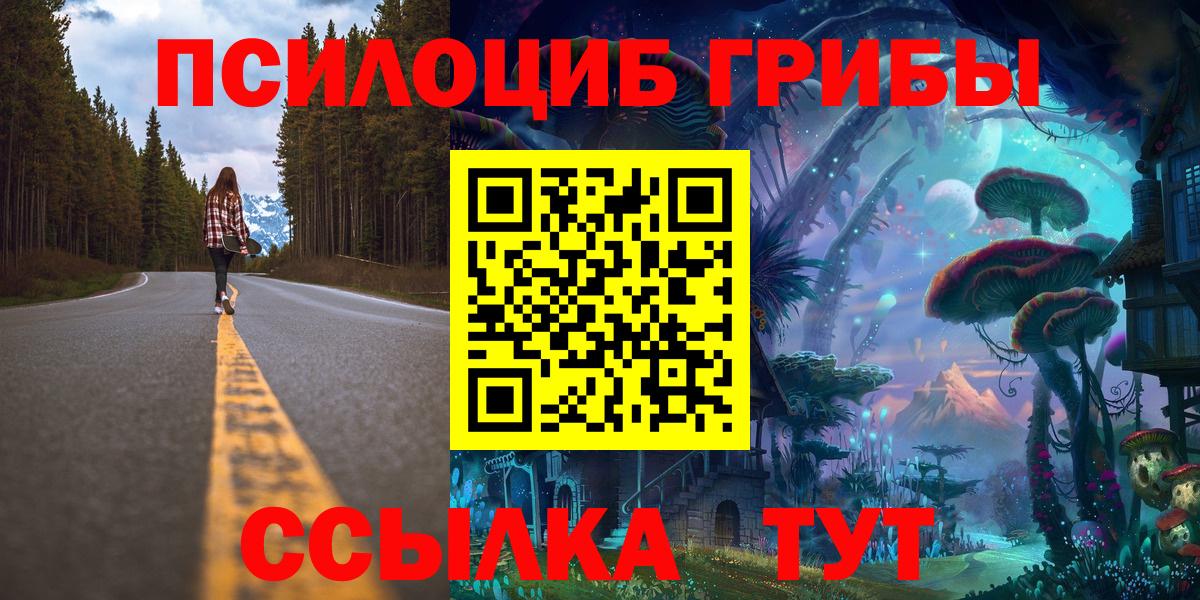 Михайловск  Галлюциногенные грибы прущие грибы  Вход с VPN 