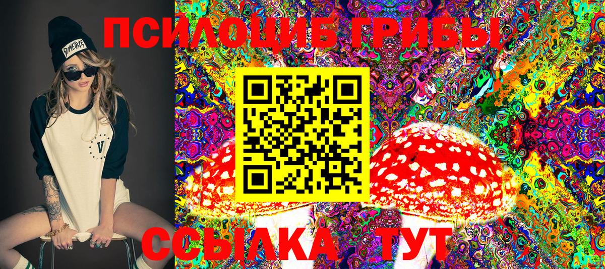 Псилоцибиновые грибы мухоморы Михайловск